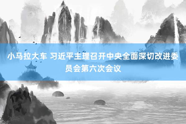 小马拉大车 习近平主理召开中央全面深切改进委员会第六次会议