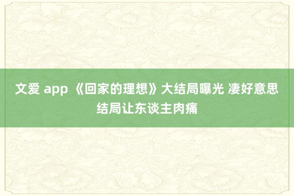 文爱 app 《回家的理想》大结局曝光 凄好意思结局让东谈主肉痛