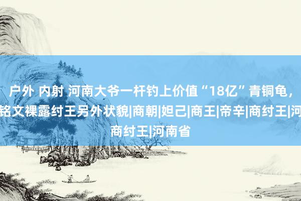 户外 内射 河南大爷一杆钓上价值“18亿”青铜龟，背后铭文裸露纣王另外状貌|商朝|妲己|商王|帝辛|商纣王|河南省