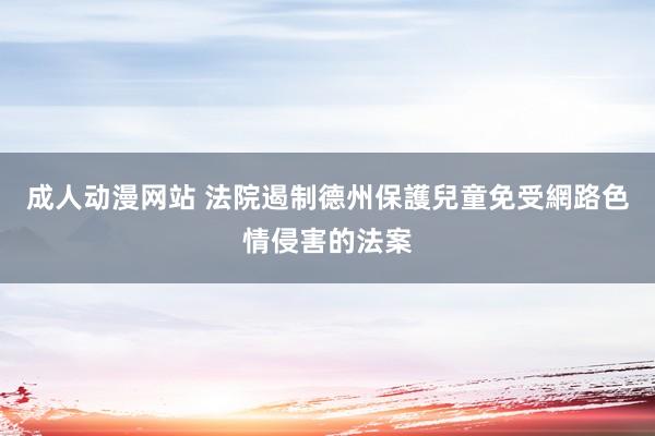 成人动漫网站 法院遏制德州保護兒童免受網路色情侵害的法案