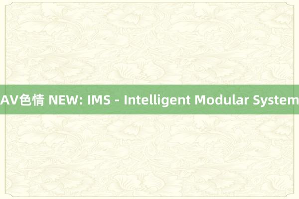 AV色情 NEW: IMS - Intelligent Modular System