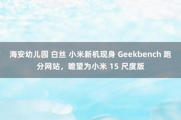 海安幼儿园 白丝 小米新机现身 Geekbench 跑分网站，瞻望为小米 15 尺度版