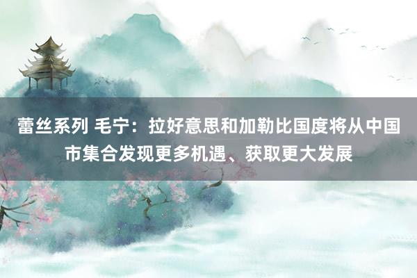 蕾丝系列 毛宁：拉好意思和加勒比国度将从中国市集合发现更多机遇、获取更大发展